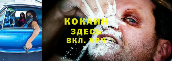 СК Алексин