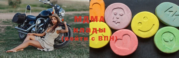 СК Алексин