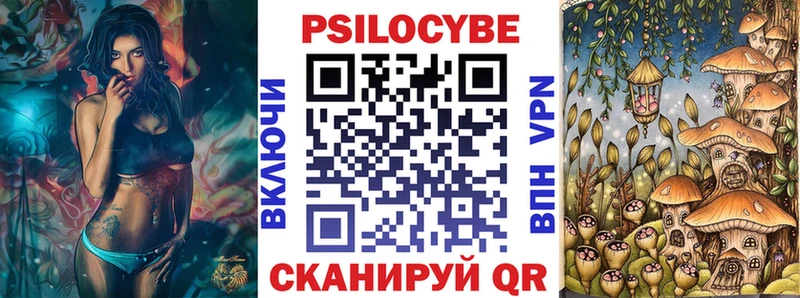Галлюциногенные грибы Psilocybe  купить закладку  Ревда 